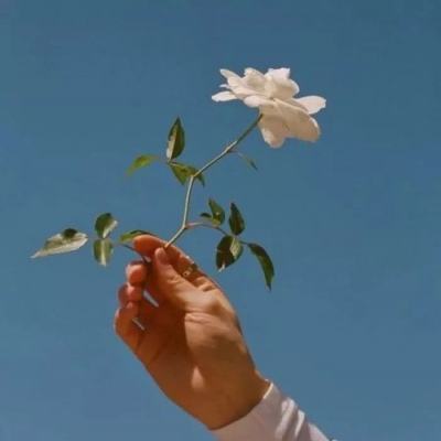 方阵英雄私服下载